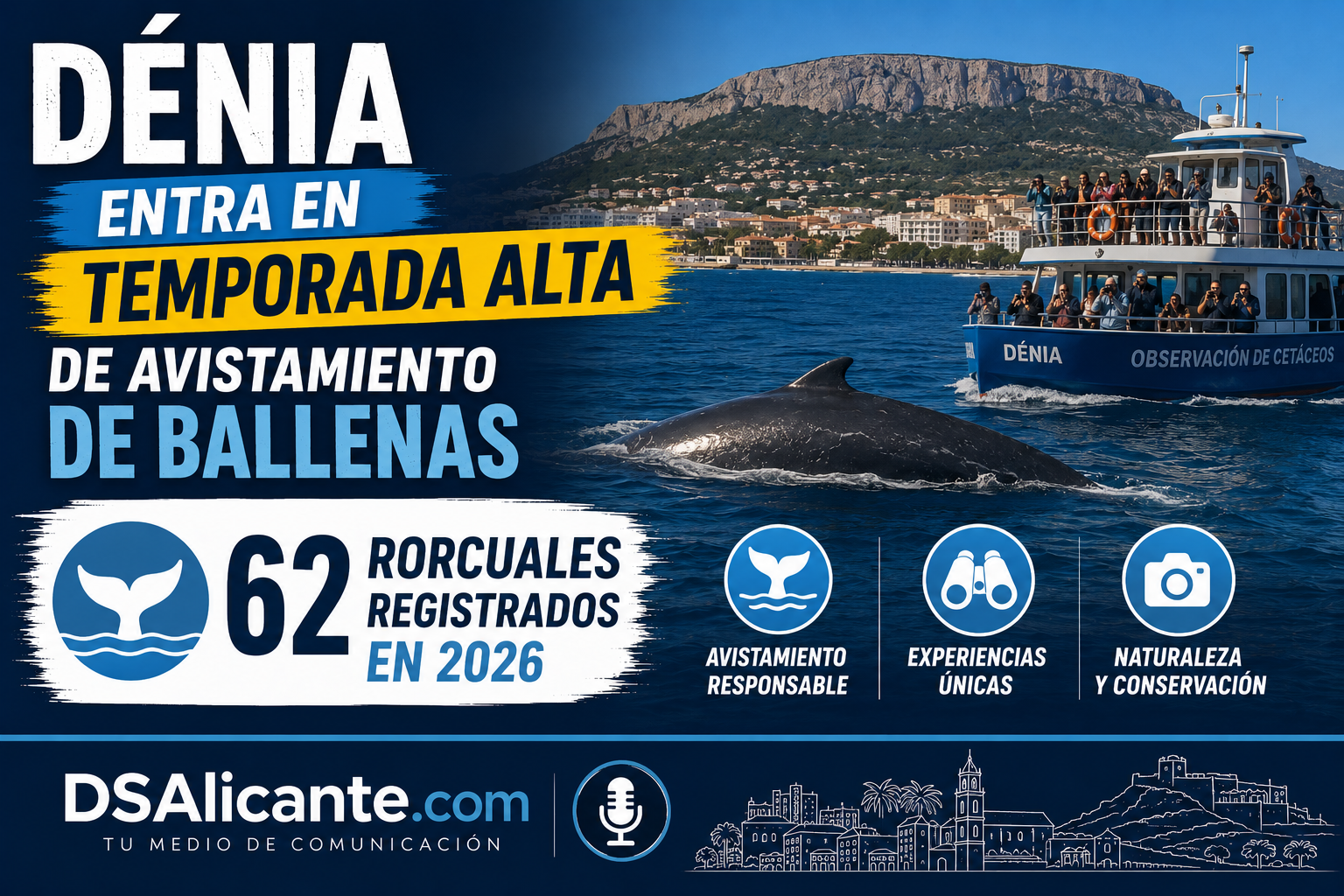 Ballenas en Dénia 62 rorcuales avistados en 2026
