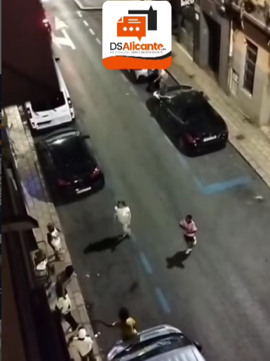 Dos detenidos tras una agresión a una mujer durante la madrugada en Alicante