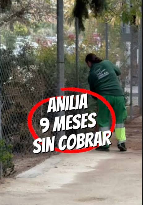 Alicante: el PSOE denuncia pagos pendientes a ANILIA