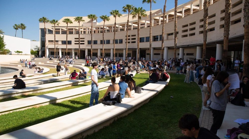 Notas de corte UA y UMH 2026: carreras con más demanda en Alicante y Elche
