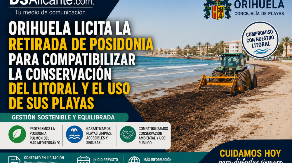 Orihuela licita la retirada de posidonia