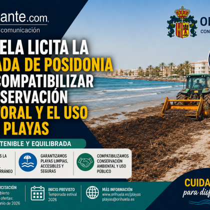 Orihuela licita la retirada de posidonia