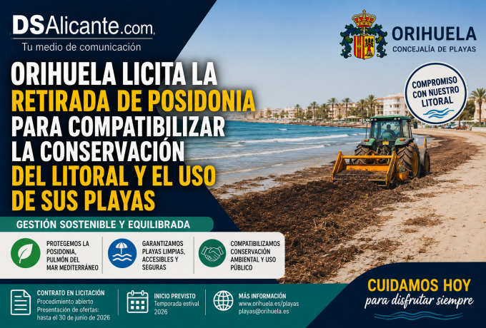 Orihuela licita la retirada de posidonia