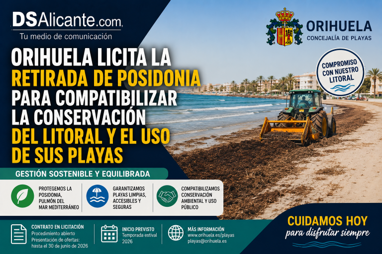 Orihuela licita la retirada de posidonia