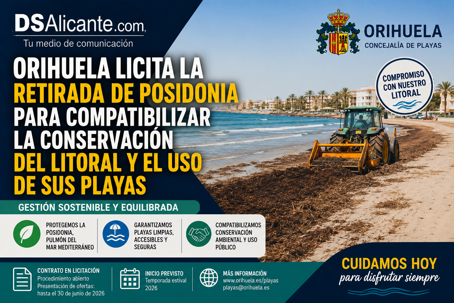 Orihuela licita la retirada de posidonia