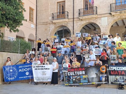 Activistas nos manifestamos un año más contra los aberrantes Bous a la mar de Dénia