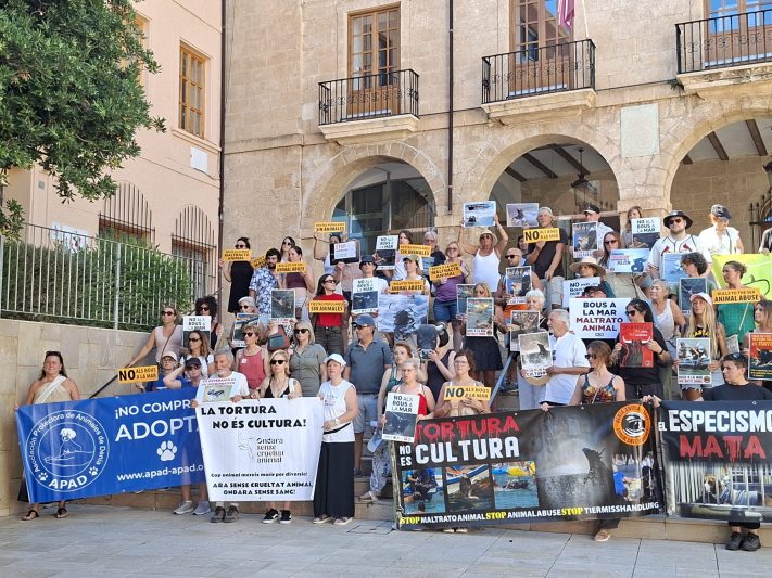 Activistas nos manifestamos un año más contra los aberrantes Bous a la mar de Dénia