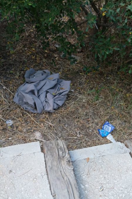 Cabeza de gato en el Monte Tossal de Alicante | Denuncia Cabeza de gato en el Monte Tossal de Alicante | Denuncia