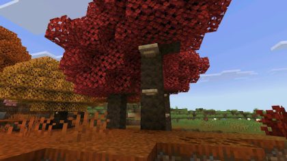 Dónde encontrar el Dappled Forest en Minecraft Bedrock y qué explorar allí