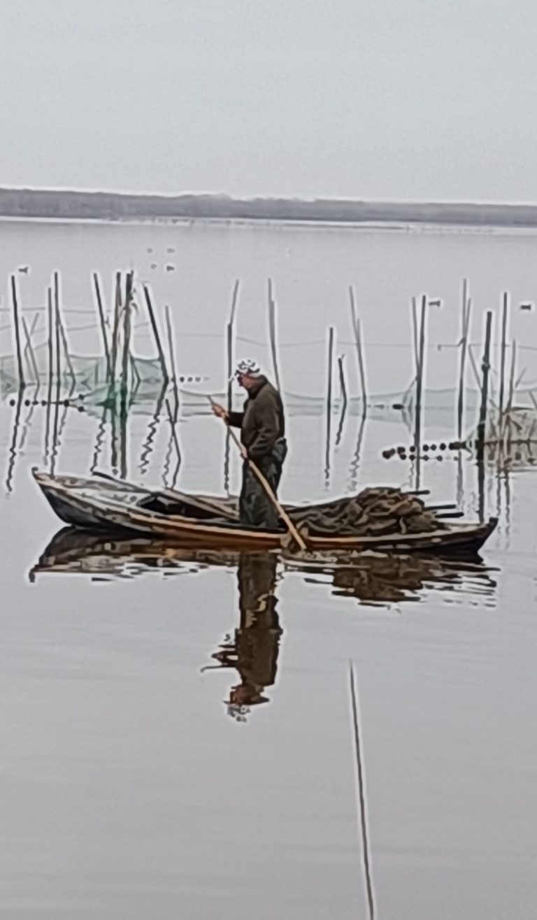 Mercadona explica mucho por qué desaparecen las pescaderías de sus supermercados
