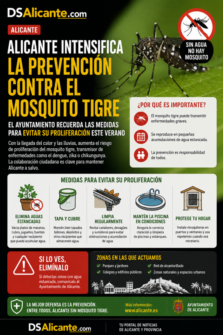 Mosquito tigre en Alicante: cómo prevenir su proliferación este verano