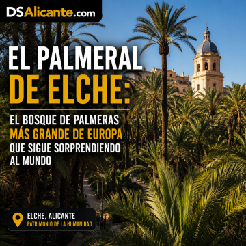 Palmeral de Elche: historia, naturaleza y Patrimonio Mundial en Alicante