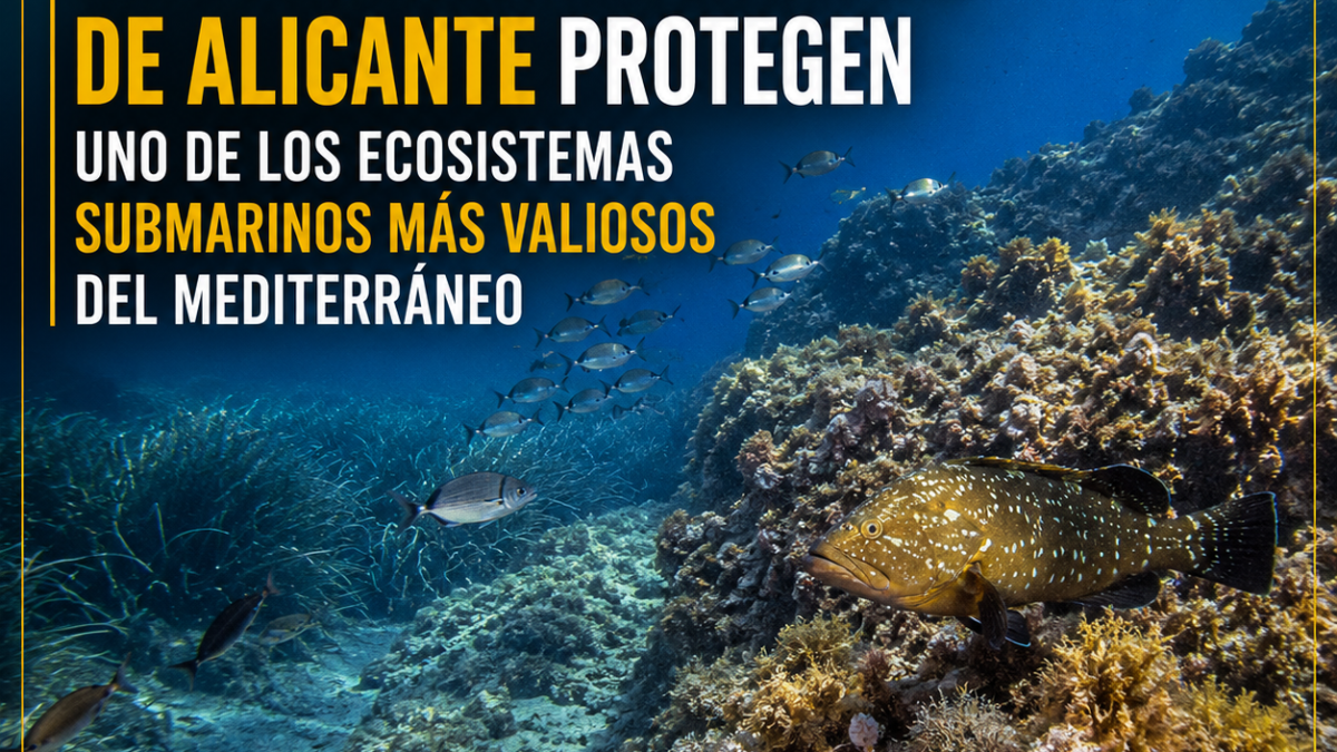 Reservas marinas de Alicante: biodiversidad y turismo sostenible en el Mediterráneo