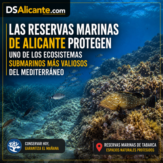 Reservas marinas de Alicante: biodiversidad y turismo sostenible en el Mediterráneo