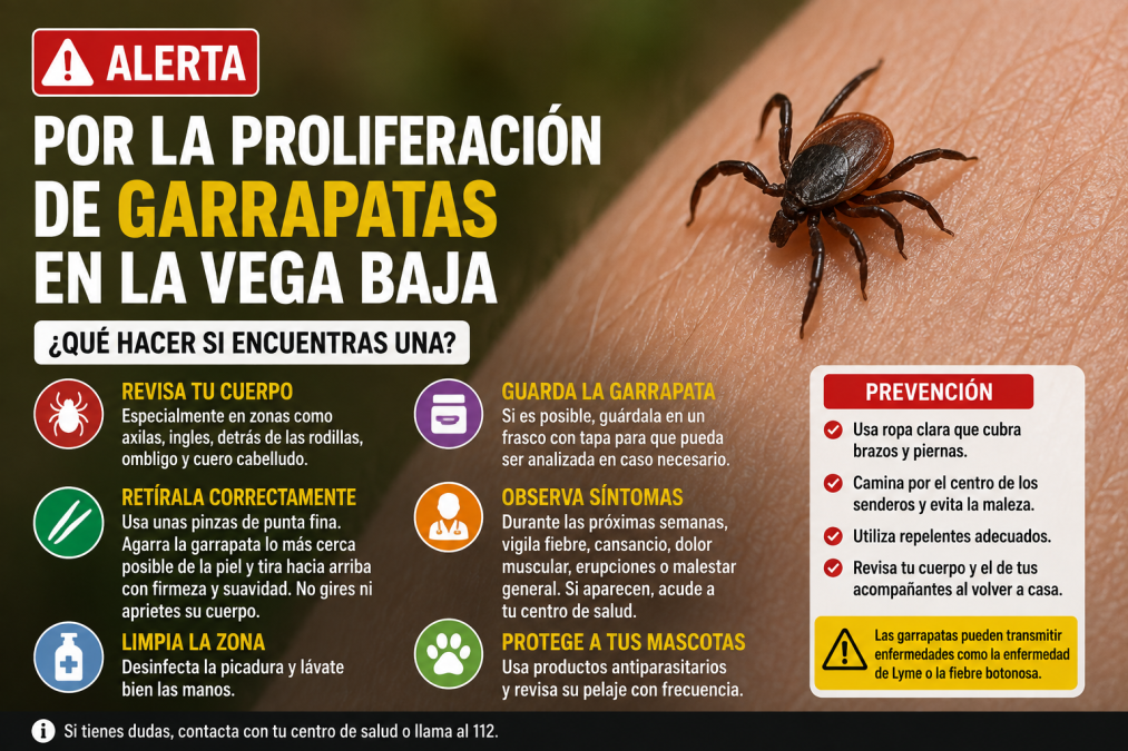 Alerta por la proliferación de garrapatas en la Vega Baja: qué hacer si encuentras una
