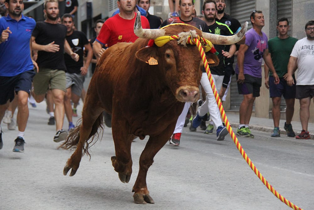 Chiva sigue celebrando el anacrónico y machista Torico de la cuerda