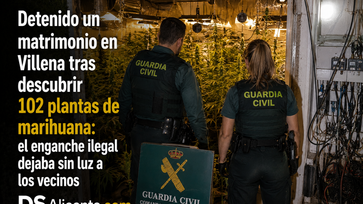 La Guardia Civil detiene a un matrimonio en Villena tras descubrir 102 plantas de marihuana. El enganche eléctrico provocaba cortes de luz a los vecinos.
