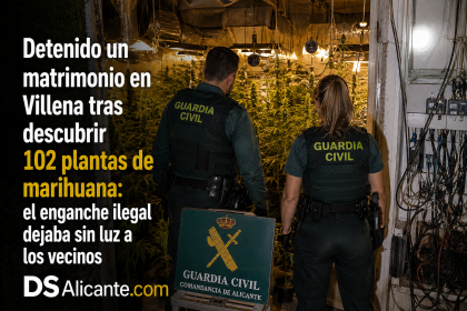 La Guardia Civil detiene a un matrimonio en Villena tras descubrir 102 plantas de marihuana. El enganche eléctrico provocaba cortes de luz a los vecinos.
