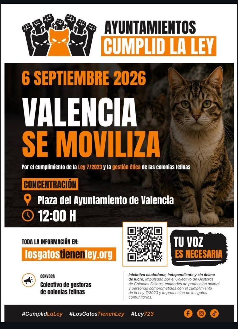 Movilizaciones para que se cumpla la ley que protege las colonias felinas 