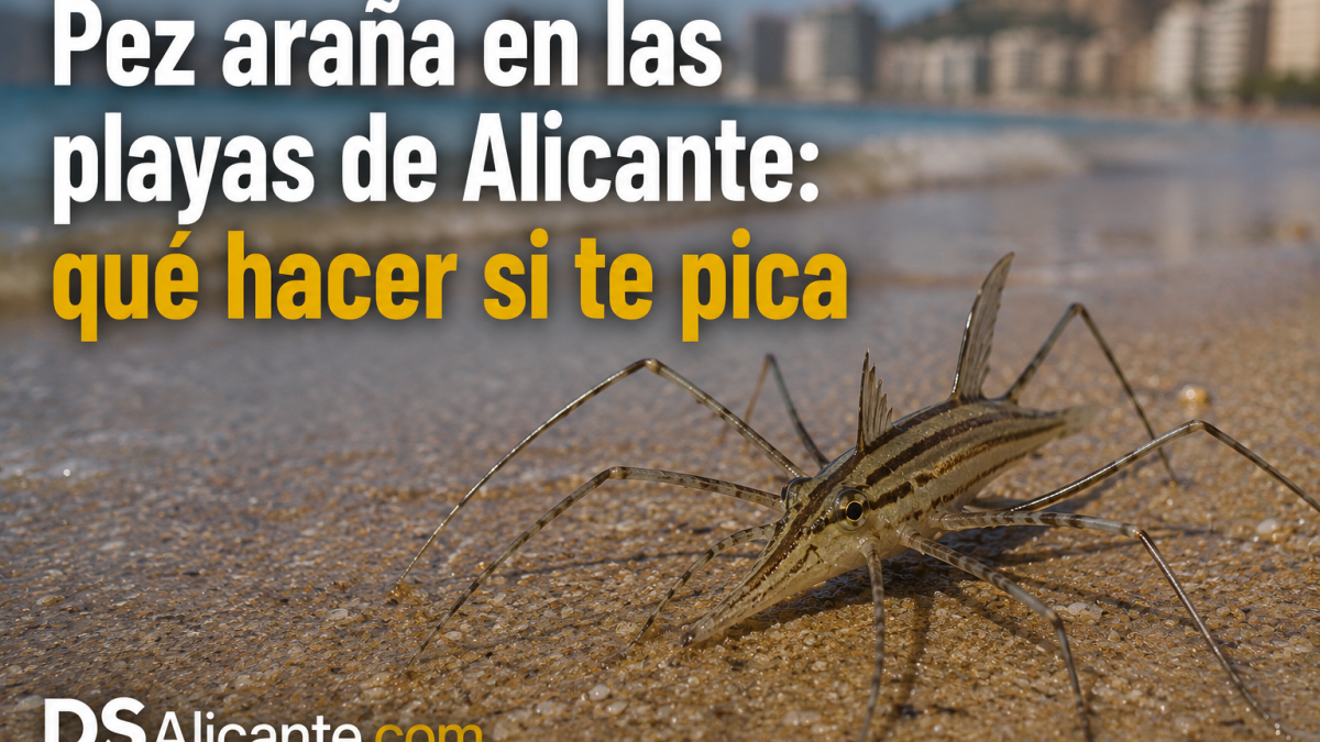 Picadura pez araña: qué hacer y tratamiento