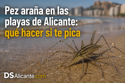 Picadura pez araña: qué hacer y tratamiento