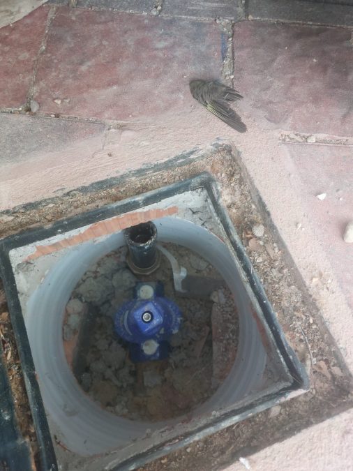 Ricardo Cutanda (UCIN Albacete) denuncia la chapuza del Ayuntamiento en el recinto ferial y Ejidos Tanta foto y tanta prisa para dejarlo peor que antaño
