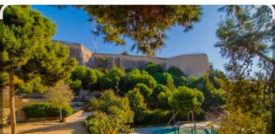 Alerta en el Monte Tossal de Alicante tras la denuncia de carne con cristales tres perros habrían muerto