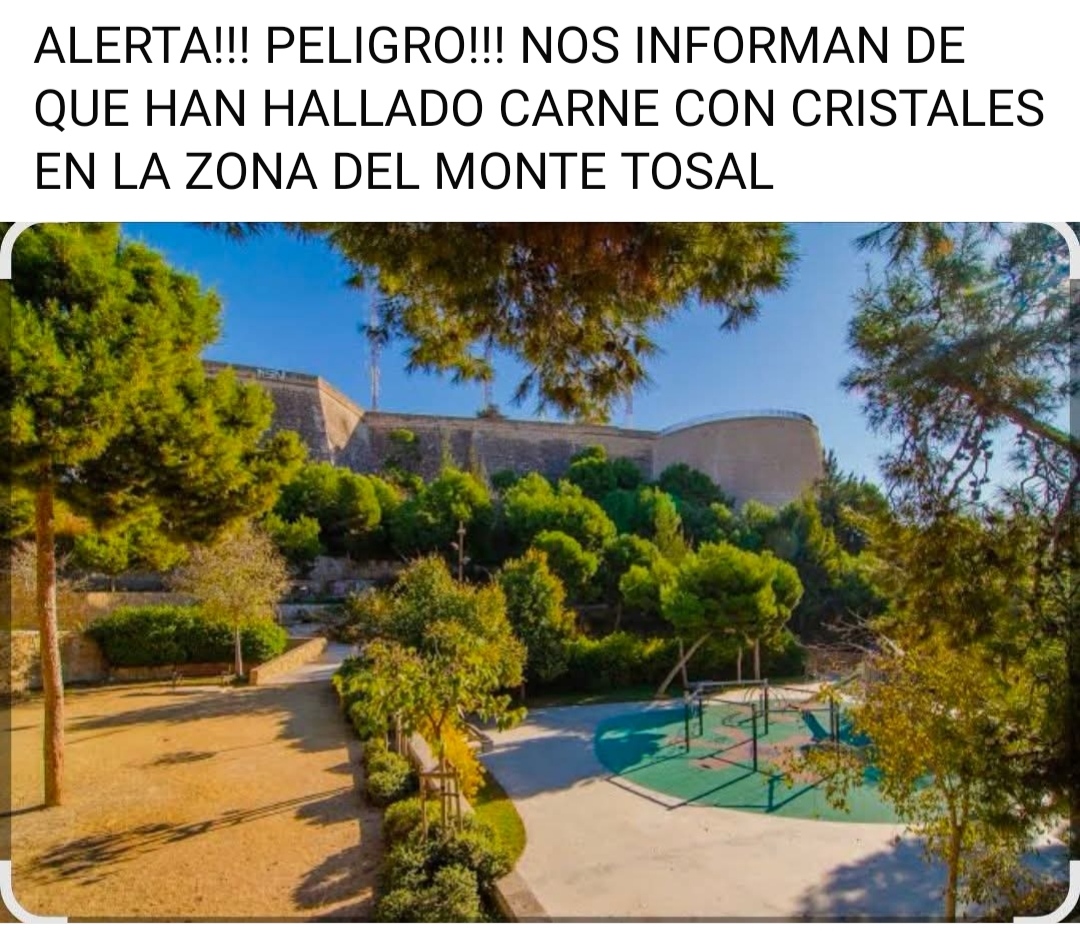 Alerta en el Monte Tossal de Alicante tras la denuncia de carne con cristales tres perros habrían muerto