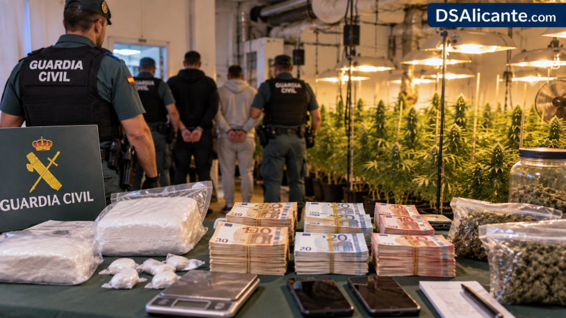 Cuatro detenidos en Elche con cocaína, 23.000 euros y 255 plantas de marihuana