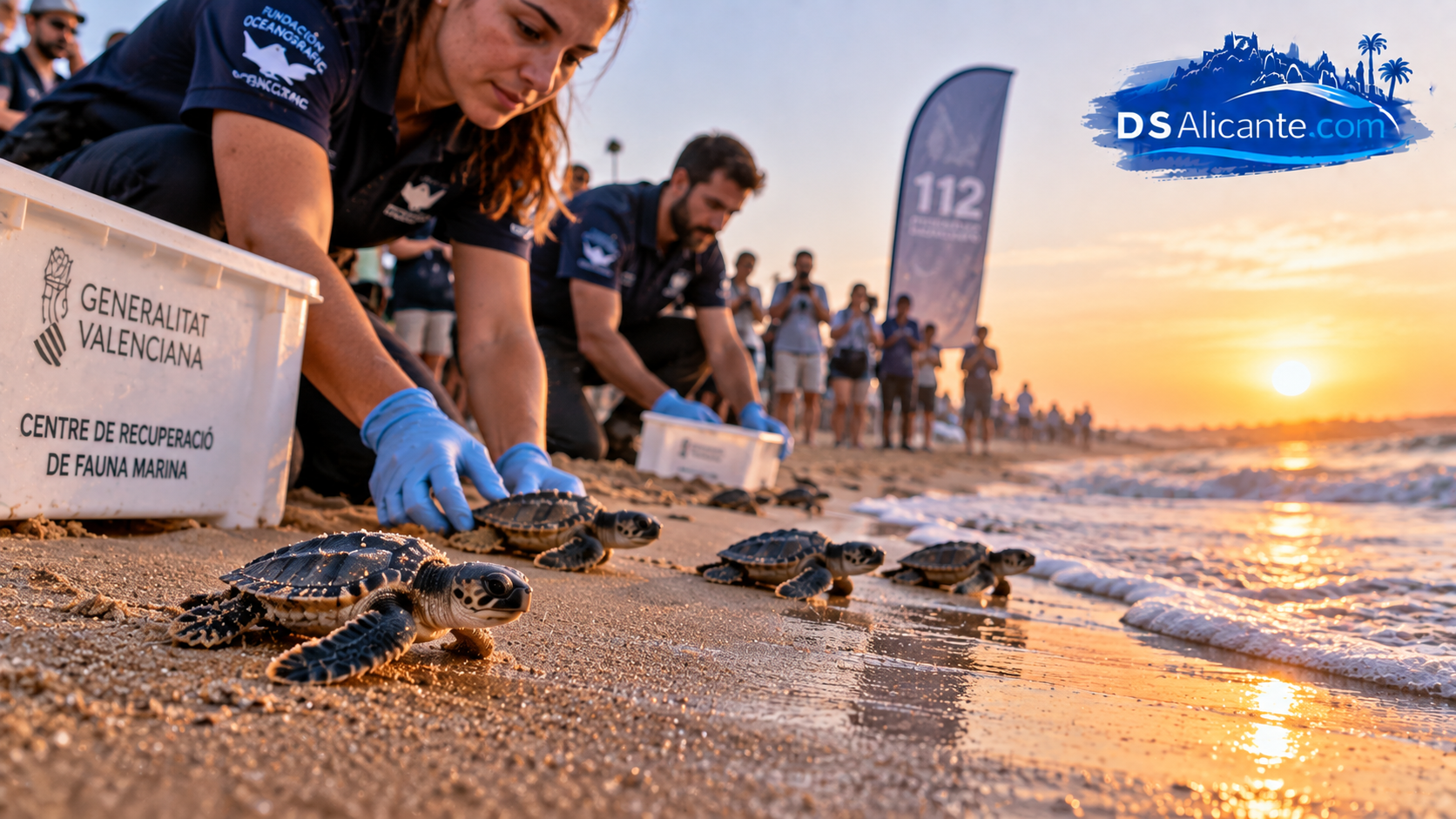 Cuatro tortugas bobas regresan al mar en Elche tras un año