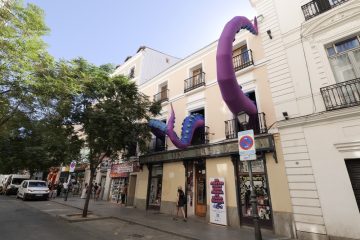 INTERCIDS pide a los partidos y al Gobierno que apoyen su propuesta para prohibir por ley las granjas de pulpos en España