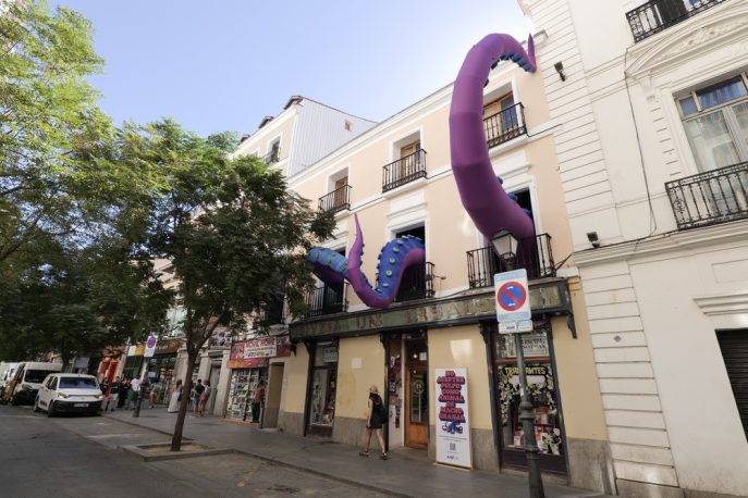 INTERCIDS pide a los partidos y al Gobierno que apoyen su propuesta para prohibir por ley las granjas de pulpos en España