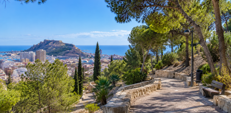 Un vecino denuncia la acumulación de basura y el deterioro del Parque del Tossal de Alicante