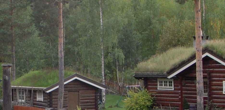 ¿Por qué hay casas con césped en el tejado en Noruega?