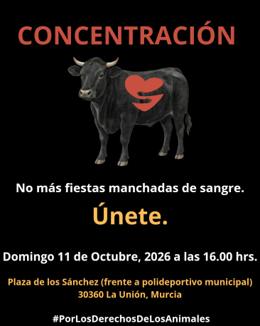 Convocada concentración en La Unión (Murcia) para exigir que su ayuntamiento deje de permitir la violencia hacia los animales en su municipio.