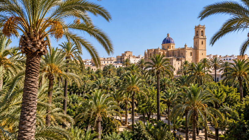 El Palmeral de Elche no es un bosque: su historia y riego