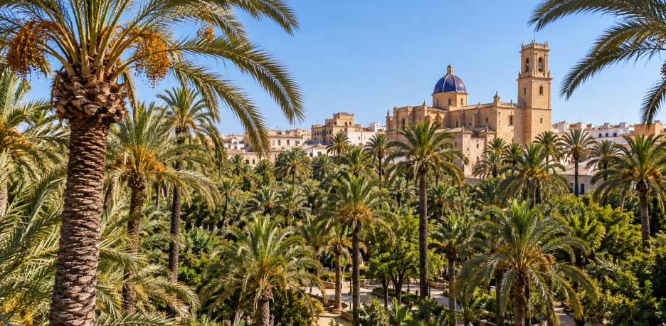 El Palmeral de Elche no es un bosque: su historia y riego