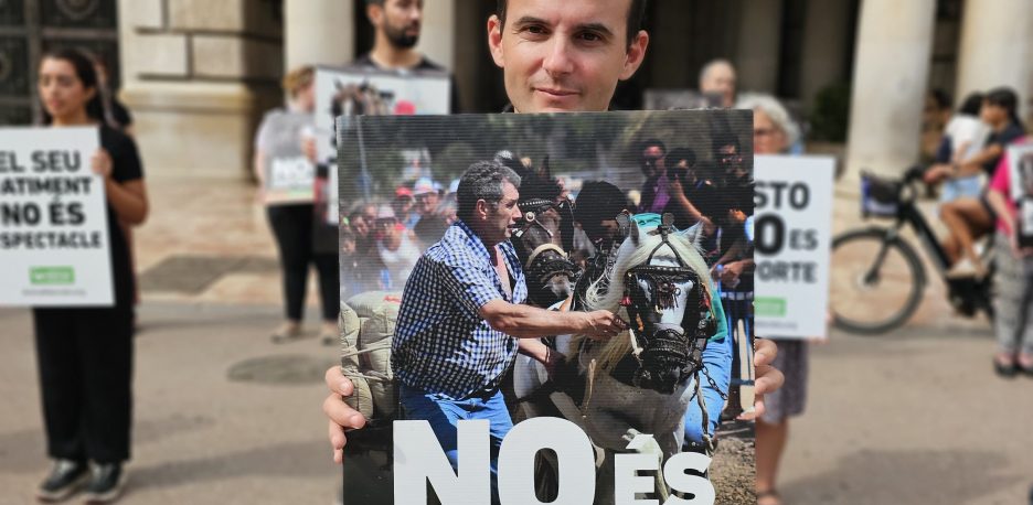 El tiro y arrastre es una salvajada más contra los animales