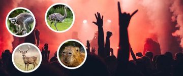Un festival de música electrónica en el parque Sendaviva desata las alarmas por el riesgo para los animales