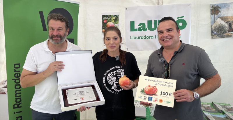 Juani Serrano gana el concurso de la granada ideal en la Fireta del Camp d´Elx